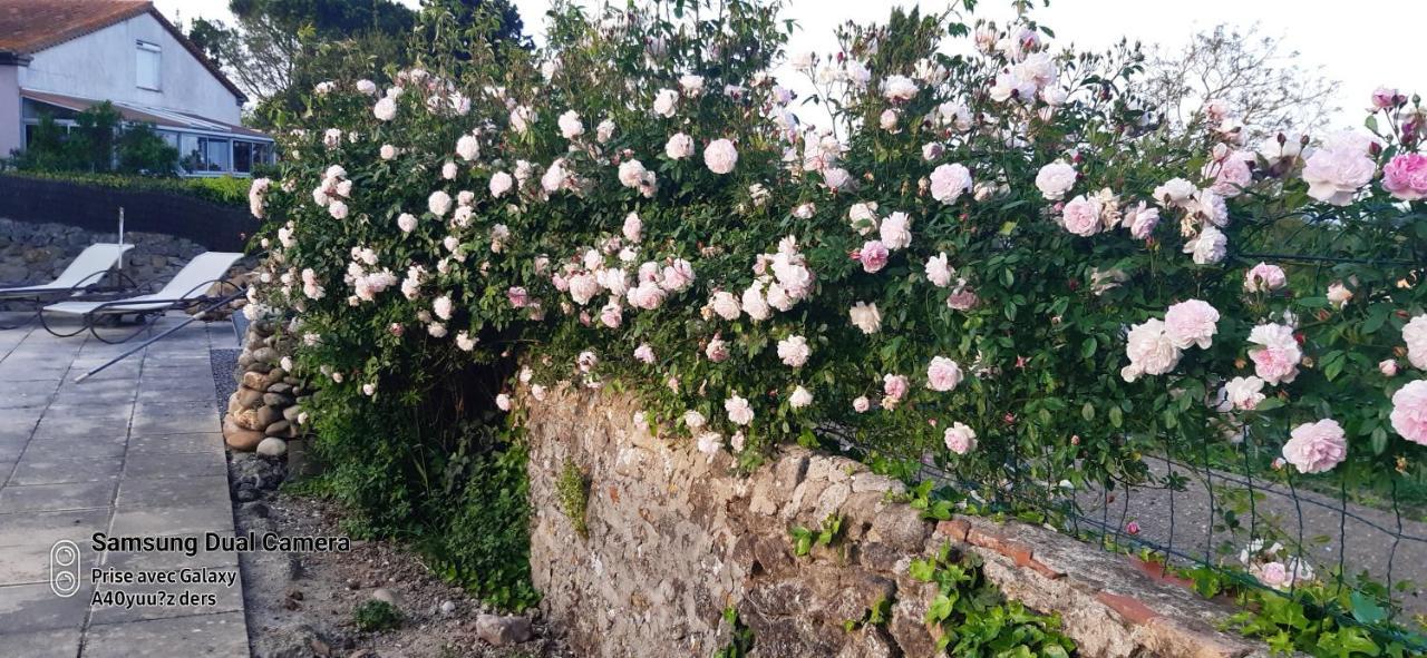 La Medeenne Alairac エクステリア 写真